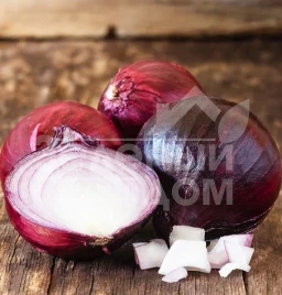 Лук репчатый Ред Меч F1 / Red Mech F1 (Ред Мех F1) ,115-120 дней купить оптом и в розницу в Украине по выгодной цене