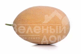 Семена дыни Локум F1 / Lokum F1,70-75 дней купить оптом и в розницу в Украине по выгодной цене