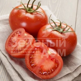 Семена томатов Зодиак F1 / Zodiak F1,105-115 дней купить оптом и в розницу в Украине по выгодной цене