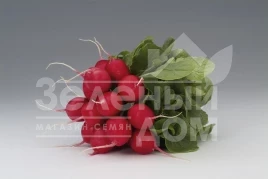 Семена редиса Мондиал F1 / Mondial F1,25-30 дней купить оптом и в розницу в Украине по выгодной цене