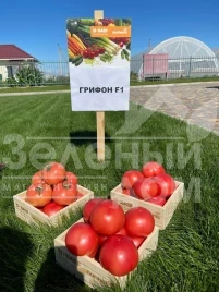 Семена томатов Грифон F1 / Gryphon F1,50-55 дней купить оптом и в розницу в Украине по выгодной цене