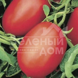 Семена томатов Рио Фуего / Rio Fuego,110-115 дней купить оптом и в розницу в Украине по выгодной цене