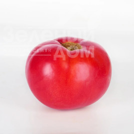 Насіння томатів Барселона F1 / Barselona F1, 65-70 днів купити оптом і в роздріб в Україні за вигідною ціною