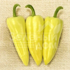 Семена сладкого перца Призма F1 / Prizma F1,120-125 дней купить оптом и в розницу в Украине по выгодной цене