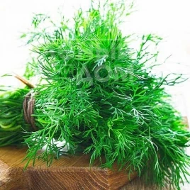 Семена укропа Тетра / Tetra  купить оптом и в розницу в Украине по выгодной цене