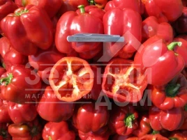 Семена сладкого перца Белл F1 / Bell F1,70 дней купить оптом и в розницу в Украине по выгодной цене