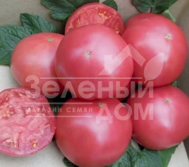 Семена томатов Сим-Сим (ЕЗ 777) F1 / Sim-Sim (EZ 777) F1, 60-65 дней купить оптом и в розницу в Украине по выгодной цене