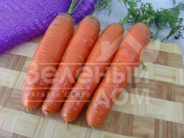 Семена моркови Фаворит / Favorit,140-150 дней купить оптом и в розницу в Украине по выгодной цене
