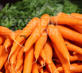 Насіння моркви Бріліанс F1 / Brilians F1,130 днів купити оптом і в роздріб в Україні за вигідною ціною