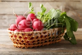 Семена редиса Солярис F1 / Solyaris F1 купить оптом и в розницу в Украине по выгодной цене