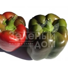 Семена сладкого перца Телестар F1 / Telestar F1 ,60-62 дня купить оптом и в розницу в Украине по выгодной цене