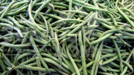 Насіння гороху Ламбадо / Lambado ,60 днів купити оптом і в роздріб в Україні за вигідною ціною