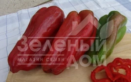 Семена сладкого перца Фатима / Fatima купить оптом и в розницу в Украине по выгодной цене