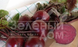 Семена свеклы Моника / Monika,110-115 дней купить оптом и в розницу в Украине по выгодной цене