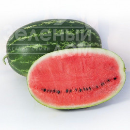 Насіння кавуна КС 632 F1 / KS 632 F1 купити оптом і в роздріб в Україні за вигідною ціною