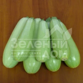 Семена кабачков Немо F1 / Nemo F1,45 дня купить оптом и в розницу в Украине по выгодной цене