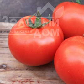 Насіння томатів Хіларіо F1 / Hilario F1,90-100 днів купити оптом і в роздріб в Україні за вигідною ціною
