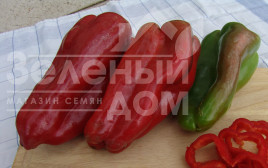 Насіння солодкого перцю Фатіма / Fatima купити оптом і в роздріб в Україні за вигідною ціною