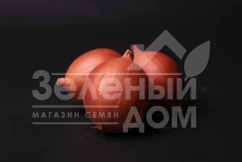 Лук репчатый Доккер F1 / Dokker F1 купить оптом и в розницу в Украине по выгодной цене
