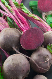 Насіння буряка Детройт Дарк Ред / Detroit Dark Red,80 дней купити оптом і в роздріб в Україні за вигідною ціною