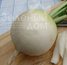 Насіння редьки Акорд / Acord, 55-65 днів купити оптом і в роздріб в Україні за вигідною ціною