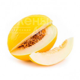 Насіння дині Тікал F1 / Tical F1,70-75 днів купити оптом і в роздріб в Україні за вигідною ціною