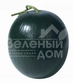Семена арбуза Блэк Хироу F1 / Black Hero F1 купить оптом и в розницу в Украине по выгодной цене