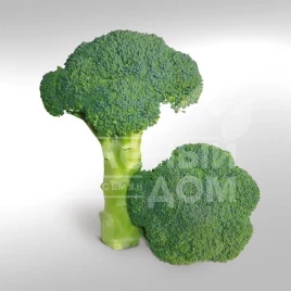 Семена капусты брокколи КС 355 F1 / KS 355 F1,65-70 дней купить оптом и в розницу в Украине по выгодной цене