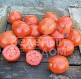 Семена томатов Вулкан F1 / Vulcan F1,105-110 дней купить оптом и в розницу в Украине по выгодной цене