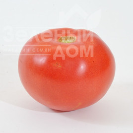 Насіння томатів Фенда F1 / Fenda F1,60-65 днів купити оптом і в роздріб в Україні за вигідною ціною