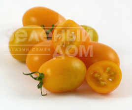 Насіння томатів Датло F1 / Datlo F1,95-105 днів купити оптом і в роздріб в Україні за вигідною ціною