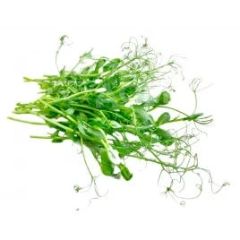 Насіння мікрогріну Мікрогрін Горох / Microgreen Gorokh купити оптом і в роздріб в Україні за вигідною ціною
