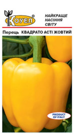 Насіння солодкого перцю Квадрато Асті жовтий / Kvadrato Asti, 110 днів купити оптом і в роздріб в Україні за вигідною ціною