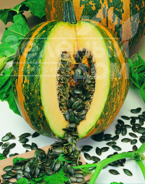 Насіння гарбуза Ольга / Olga купити оптом і в роздріб в Україні за вигідною ціною