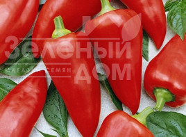 Насіння солодкого перцю Діментіо F1 / Dimentio F1,58-63 дні купити оптом і в роздріб в Україні за вигідною ціною