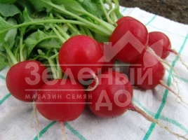 Семена редиса Эстер / Esther,31-34 дня купить оптом и в розницу в Украине по выгодной цене