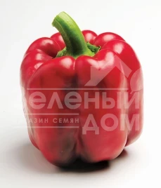 Семена сладкого перца Крузадер F1 / Cruzader F1,65 дней купить оптом и в розницу в Украине по выгодной цене