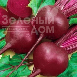 Семена свеклы Красный шар / Red Ball купить оптом и в розницу в Украине по выгодной цене