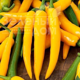 Насіння гіркого перцю Харвей / Harvey купити оптом і в роздріб в Україні за вигідною ціною