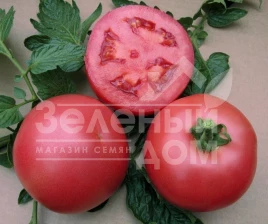 Семена томатов ВП-1 F1 / VP-1 F1,65-68 дней купить оптом и в розницу в Украине по выгодной цене
