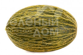 Насіння дині Мабел F1 / Mabel F1,75-85 днів купити оптом і в роздріб в Україні за вигідною ціною