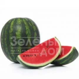 Семена арбуза Сенсей F1 / Sensei F1,60-65 дней купить оптом и в розницу в Украине по выгодной цене