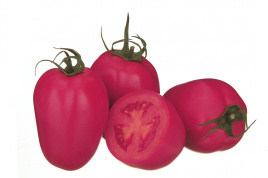 Насіння томатів Пінк Піонер F1 / Pink Pioneer F1,115-120 днів купити оптом і в роздріб в Україні за вигідною ціною