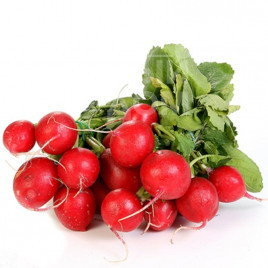 Насіння редису Джоллі / Jolly, 25-30 днів купити оптом і в роздріб в Україні за вигідною ціною