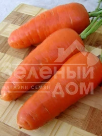 Семена моркови Акат F1 / Akat F1 купить оптом и в розницу в Украине по выгодной цене