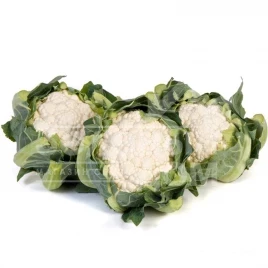 Семена капусты цветной Алстон F1 / Alston F1,60-65 дней купить оптом и в розницу в Украине по выгодной цене