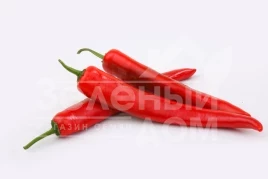 Семена горького перца Мехико F1 / Mexiko F1,75-80 дней купить оптом и в розницу в Украине по выгодной цене