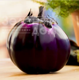 Семена баклажана Бриска F1 / Bryska F1 купить оптом и в розницу в Украине по выгодной цене