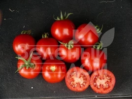 Семена томатов Партова F1 / Partova F1 купить оптом и в розницу в Украине по выгодной цене