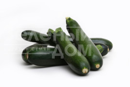 Насіння кабачків Ріо Негро F1 / Rio Negro F1 купити оптом і в роздріб в Україні за вигідною ціною